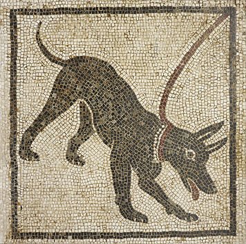 pompeii_dog1