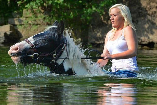 Note to bint: If half the bit pops out of the horse's mouth, IT'S TOO BIG. 