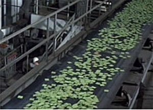 soylent_green_wafers